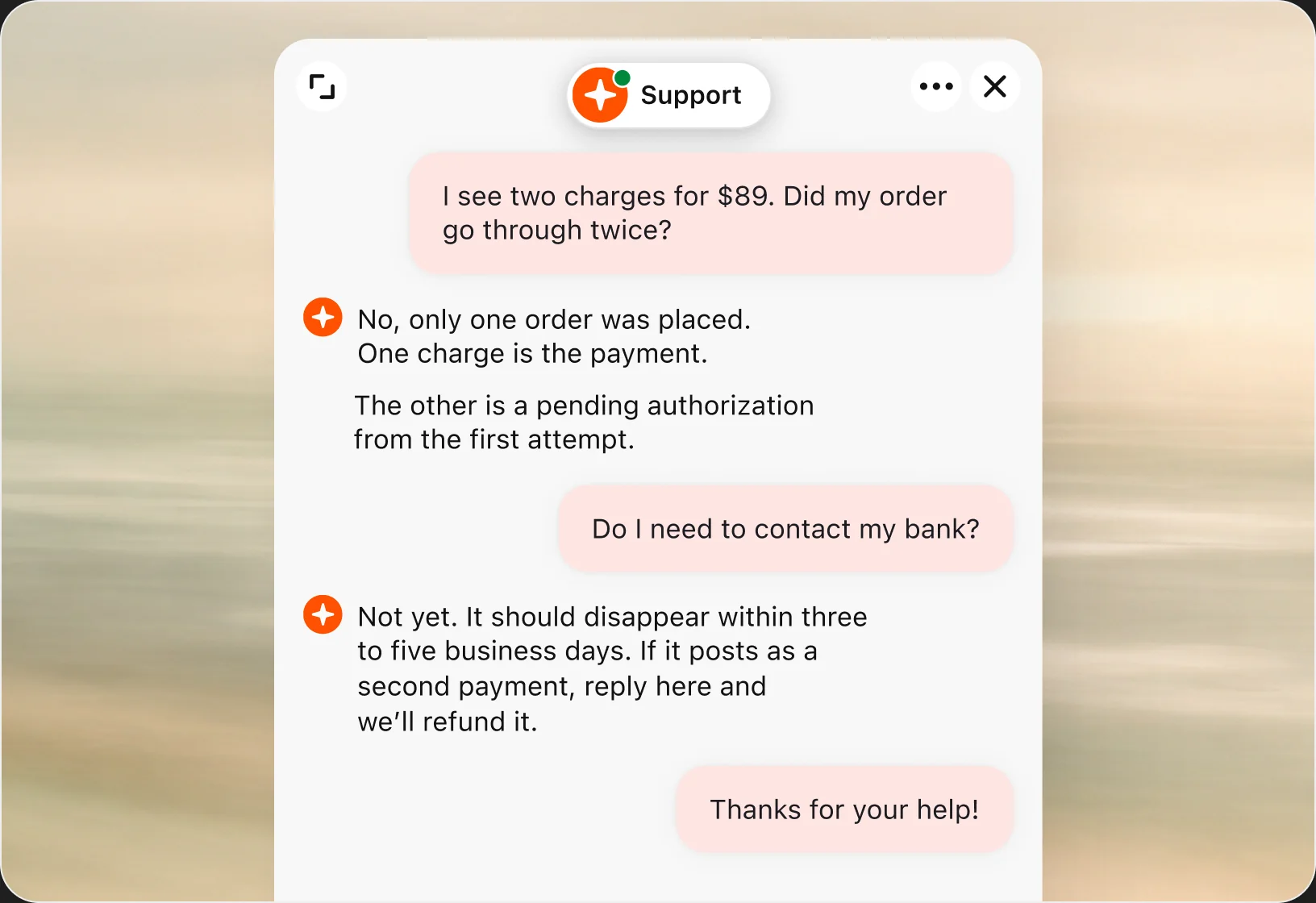 Chat widget where a customer asks about two $89 charges, and the support AI agen